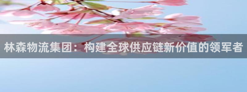 超凡国际辅助：林森物流集团：构建全球