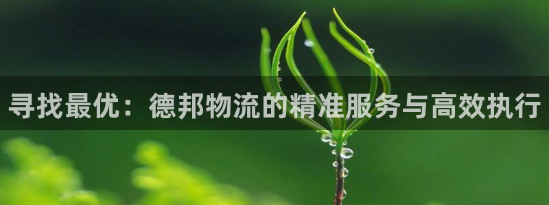 超凡国际注册链接：寻找最优：德邦物流