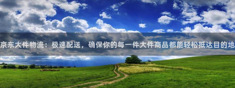 超凡国际最稳打法：京东大件物流：极速