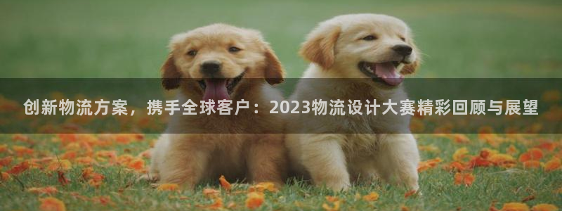 超凡国际怎么申请代理：创新物流方案，