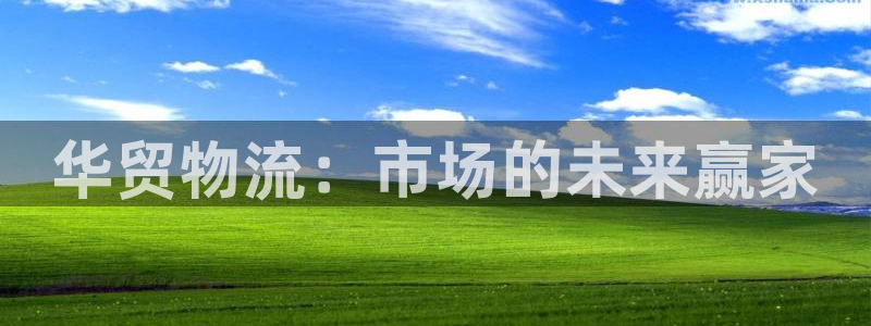 超凡国际加拿大最新版：华贸物流：市场