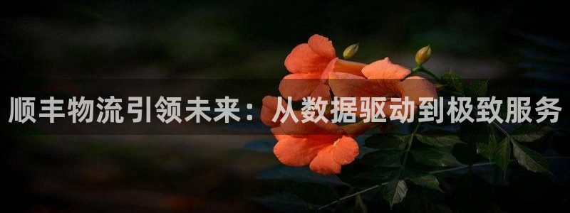 超凡国际官网入口2024：顺丰物流引