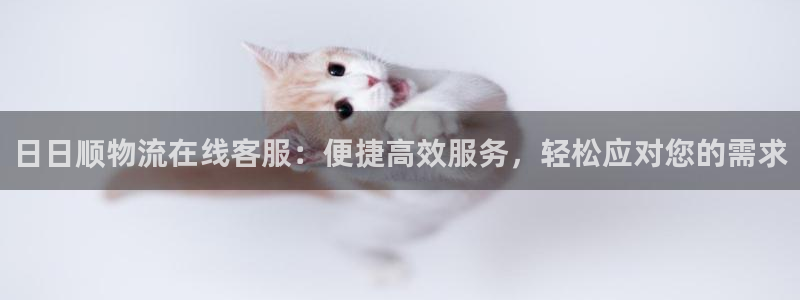 超凡国际登录流程：日日顺物流在线客服：便捷高效服务，轻松应对