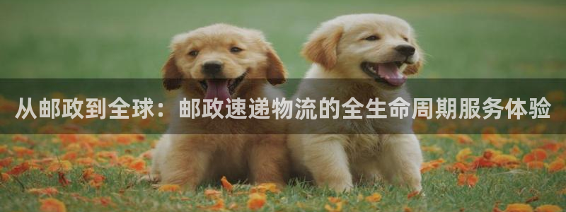 超凡国际流水怎么算：从邮政到全球：邮