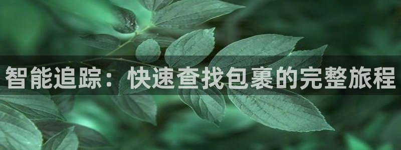 超凡国际里的财神：智能追踪：快速查找