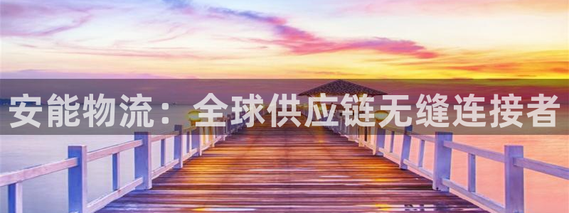 超凡国际图片：安能物流：全球供应链无缝连接者