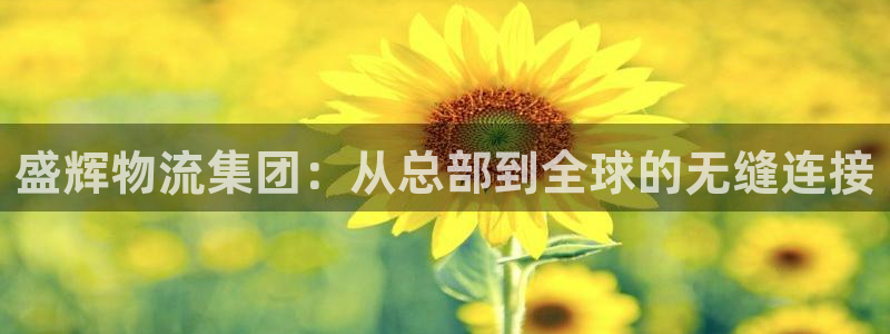 超凡国际官网平台：盛辉物流集团：从总