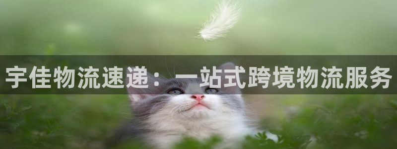 超凡国际模拟器：宇佳物流速递：一站式
