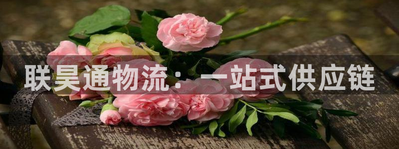 超凡国际注册链接入口：联昊通物流：一