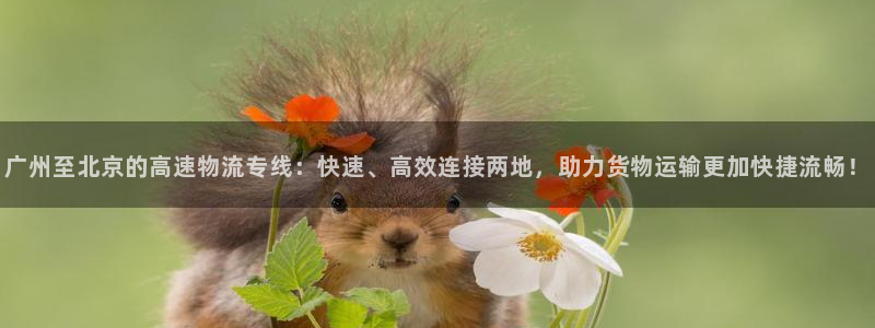 超凡国际游戏官网版